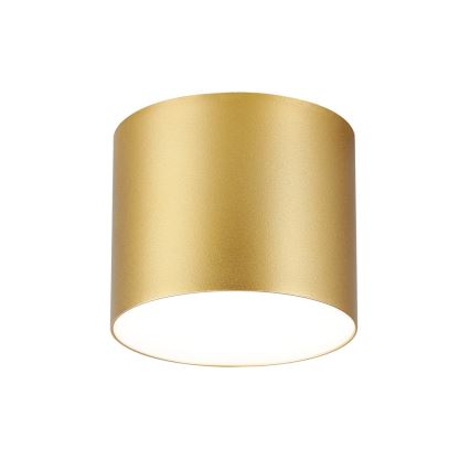 Immax NEO 07318L - Luminaria de techo LED regulable RONDATE LED/32W/230V diámetro 16,5 cm Wi-Fi Tuya color oro