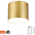 Immax NEO 07318L - Luminaria de techo LED regulable RONDATE 32W 230V Ø 16,5 cm, Wi‑Fi (Tuya), dorado