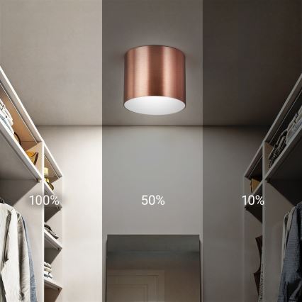 Immax NEO 07319L - Luminaria de techo LED regulable RONDATE, 18W/230V, diámetro 11,5 cm, Wi-Fi Tuya, oro rosa