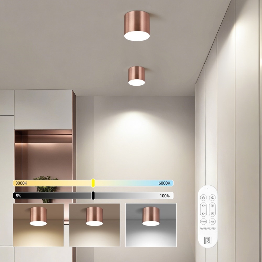 Immax NEO 07319L - Luminaria de techo LED regulable RONDATE, 18W/230V, diámetro 11,5 cm, Wi-Fi Tuya, oro rosa