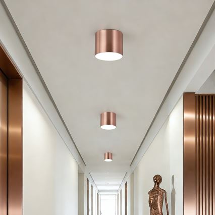 Immax NEO 07319L - Luminaria de techo LED regulable RONDATE, 18W/230V, diámetro 11,5 cm, Wi-Fi Tuya, oro rosa