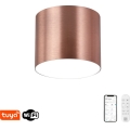 Immax NEO 07319L - Lámpara de techo LED regulable RONDATE LED/18W/230V Ø 11,5 cm Wi‑Fi Tuya oro rosa