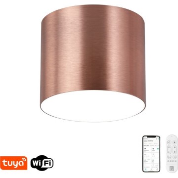 Immax NEO 07320L - Lámpara de techo LED regulable RONDATE, 32W/230V, Ø 16,5 cm, compatible con Wi-Fi Tuya, acabado oro rosa
