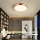 Immax NEO 07321L - Plafón LED regulable NEO LITE SEMPLICI LED/36W/230V, Ø 40 cm, acabado cobre + mando a distancia