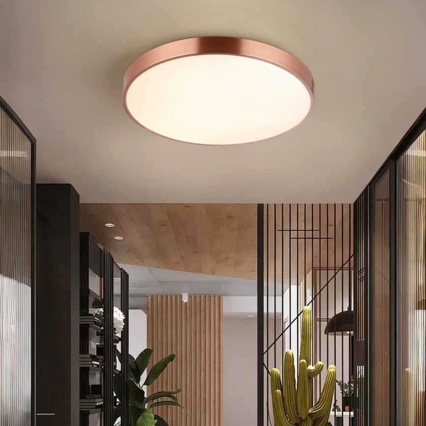Immax NEO 07322L - Luminaria de techo LED regulable NEO LITE SEMPLICI LED/60W/230V, diámetro 60 cm, acabado cobre + mando a distancia