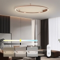 Immax NEO 07325-120C - Luminaria de techo LED regulable FINO LED/72W/230V 120 cm Tuya oro rosado + mando a distancia