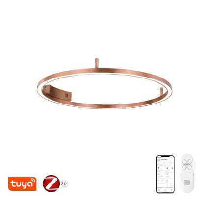 Immax NEO 07326-80C - Luminaria de techo LED regulable FINO LED/55W/230V 80 cm Tuya oro rosa + control remoto