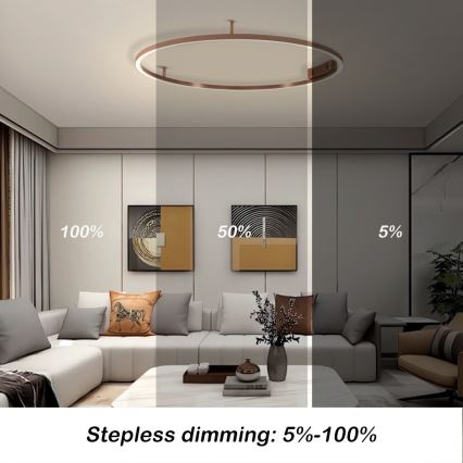 Immax NEO 07326-80C - Luminaria de techo LED regulable FINO LED/55W/230V 80 cm Tuya oro rosa + control remoto