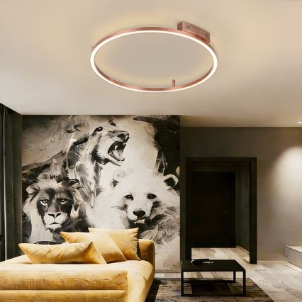 Immax NEO 07326-80C - Luminaria de techo LED regulable FINO LED/55W/230V 80 cm Tuya oro rosa + control remoto