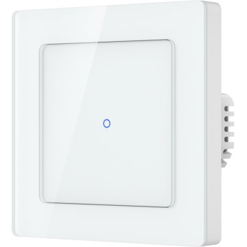 Immax NEO 07549L - Interruptor SMART de 1 botón 230 V