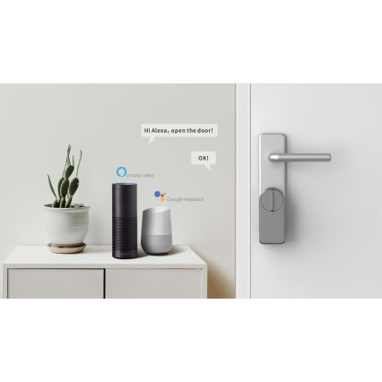 Immax NEO 07815L - Cerradura inteligente para puerta con teclado 4xAA + 2xAA Tuya