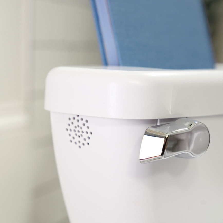 Ingenuity - Orinal infantil con sonido MY SIZE, blanco, 2x AAA