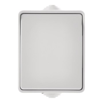 Interruptor de CA interior 250V/10A IP54