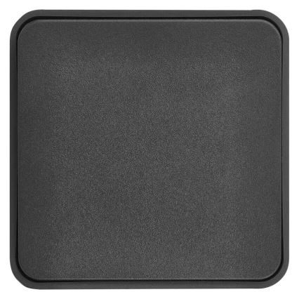 Interruptor doméstico de corriente alterna 250 V/10 A IP55