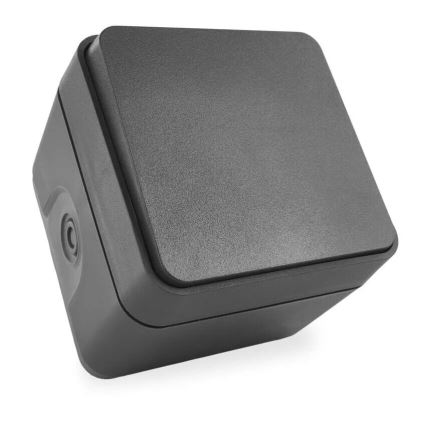 Interruptor doméstico de corriente alterna 250 V/10 A IP55