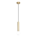 ITALUX - Lámpara colgante con cable FILANO 1xG9/5W/230V dorada
