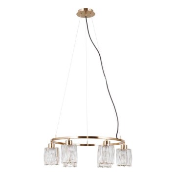 ITALUX - Lámpara colgante con cable SIMONA 6xE14/40W/230V dorada