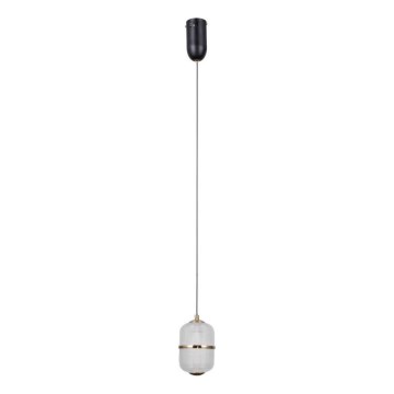 ITALUX - Lámpara colgante LED ALANI con cable LED/6W/230V 3000K negro/dorado