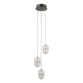 ITALUX - Lámpara colgante LED con cable ALANI 3xLED/5W/230V 3000K negro/dorado