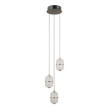 ITALUX - Lámpara colgante LED con cable ALANI 3xLED/5W/230V 3000K negro/dorado