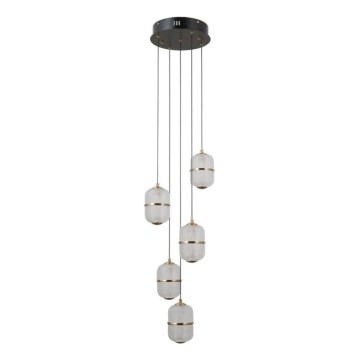 ITALUX - Lámpara colgante LED con cable ALANI 5xLED/5,6W/230V 3000K negro/dorado