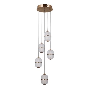 ITALUX - Lámpara colgante LED con cable ALANI 5xLED/5,6W/230V 3000K oro