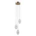 ITALUX - Lámpara colgante LED suspendida por cable ALANI 3xLED/5W/230V 3000K dorada
