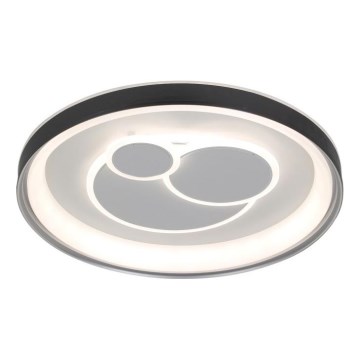ITALUX - Lámpara de techo regulable LED FLORINA LED/46W/230V 3000/4000/6500K Ø 49 cm negra + mando a distancia