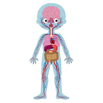 Janod - Puzzle educativo infantil 225 piezas cuerpo humano
