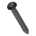 Juego de 50 tornillos Torx T25 12 mm, acabado lacado negro — calidad profesional