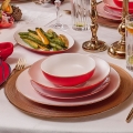 Juego de vajilla de 58 piezas en porcelana, blanco y rojo