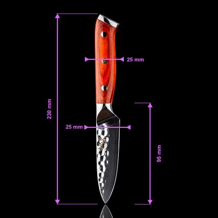 Gudaro - Juego de 5 cuchillos de cocina MIYABI de acero Damasco + soporte para cuchillos y tijeras para aves