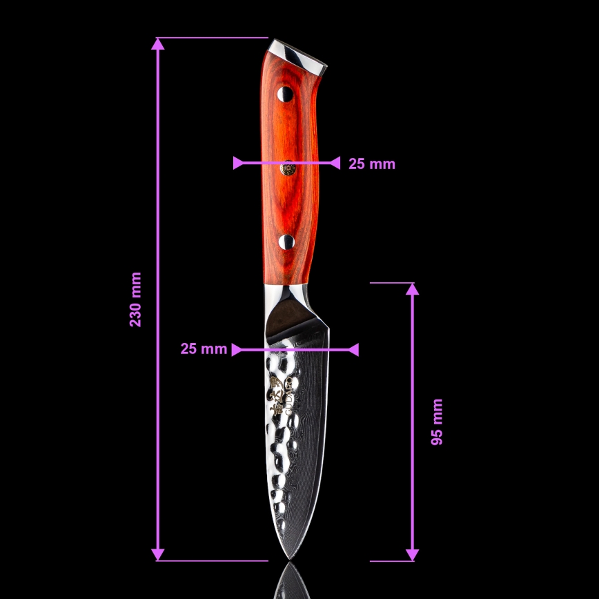 Gudaro - Juego de 5 cuchillos de cocina MIYABI de acero Damasco + soporte para cuchillos y tijeras para aves