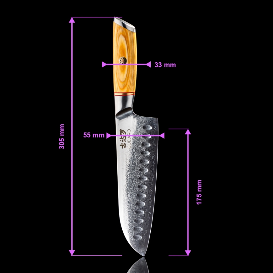 Gudaro - Juego de 5 cuchillos de cocina HIKARI de acero Damasco + soporte para cuchillos y tijeras para aves
