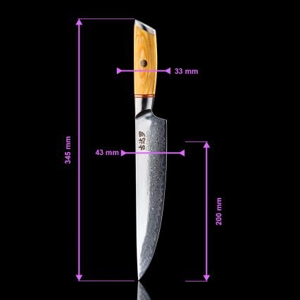 Gudaro - Juego de 5 cuchillos de cocina HIKARI de acero Damasco + soporte para cuchillos y tijeras para aves