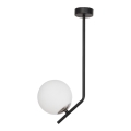 Jupiter 1735 - Lámpara colgante TIM 1xE14/40W/230V cromo brillante