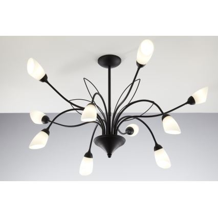 Jupiter 2056 - Lámpara colgante con barra GLORIOSA 10xG9/14W/230V negra