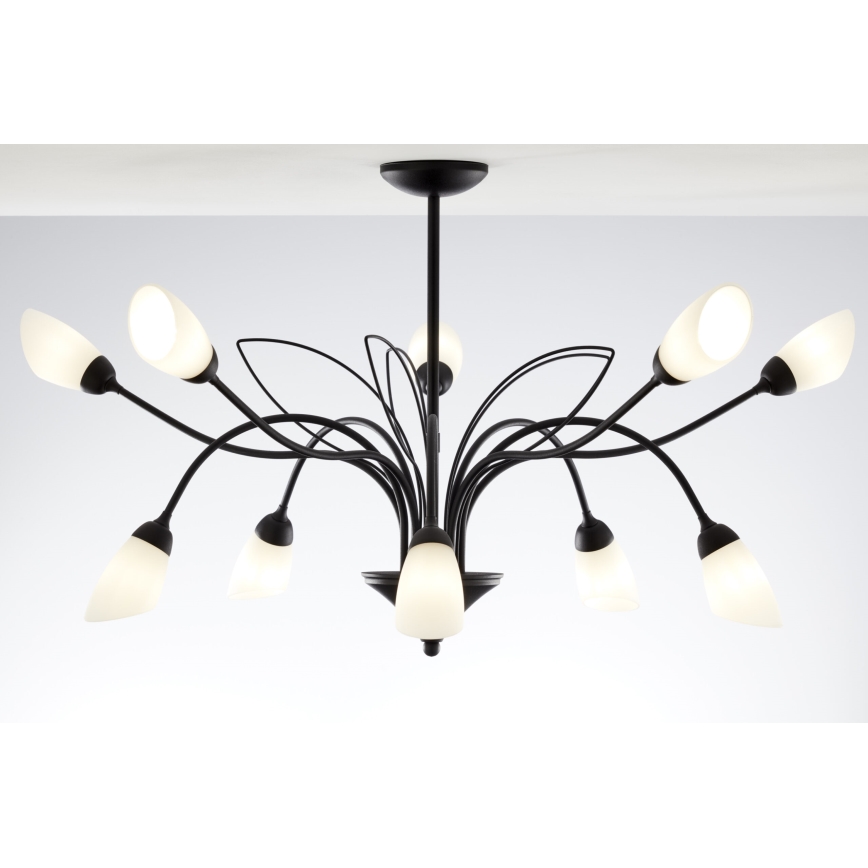 Jupiter 2056 - Lámpara colgante con barra GLORIOSA 10xG9/14W/230V negra