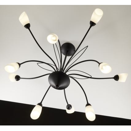 Jupiter 2056 - Lámpara colgante con barra GLORIOSA 10xG9/14W/230V negra