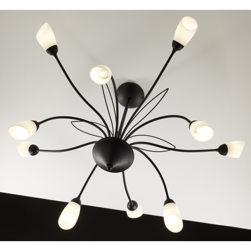 Jupiter 2056 - Lámpara colgante con barra GLORIOSA 10xG9/14W/230V negra