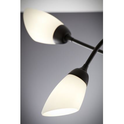 Jupiter 2056 - Lámpara colgante con barra GLORIOSA 10xG9/14W/230V negra