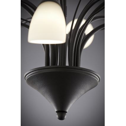 Jupiter 2056 - Lámpara colgante con barra GLORIOSA 10xG9/14W/230V negra