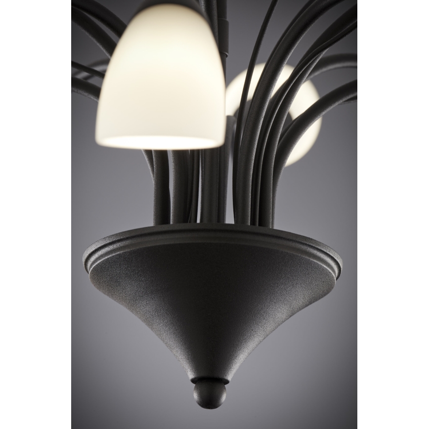 Jupiter 2056 - Lámpara colgante con barra GLORIOSA 10xG9/14W/230V negra