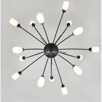 Jupiter 2057 - Lámpara colgante con cadena GLORIOSA 15xG9/14W/230V negra