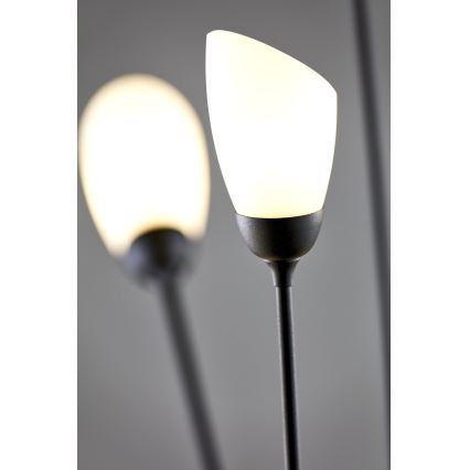 Jupiter 2058 - Lámpara de pie GLORIOSA 9xG9/14W/230V negra