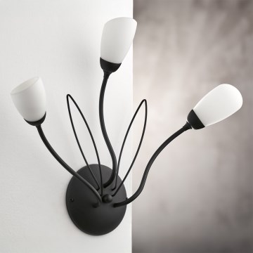 Jupiter 2059 - Aplique de pared GLORIOSA 3xG9/14W/230V negro