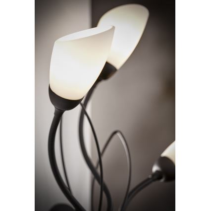 Jupiter 2059 - Aplique de pared GLORIOSA 3xG9/14W/230V negro