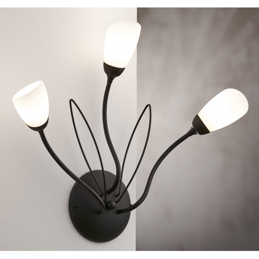 Jupiter 2059 - Aplique de pared GLORIOSA 3xG9/14W/230V negro