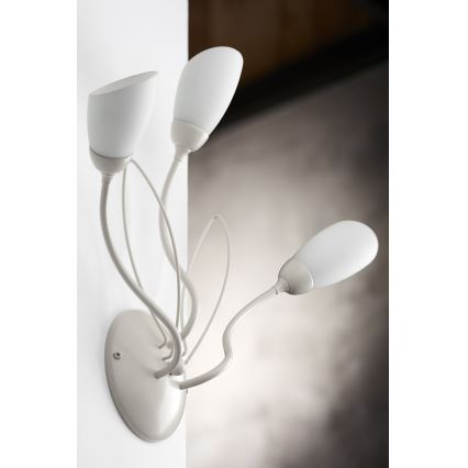 Jupiter 2064 - Aplique de pared GLORIOSA 3xG9/14W/230V en color crema