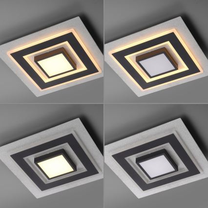 JUST LIGHT. 14439-21 - Plafón LED CICHIO LED/18,5W/230V + LED/9W 40x40 cm negro